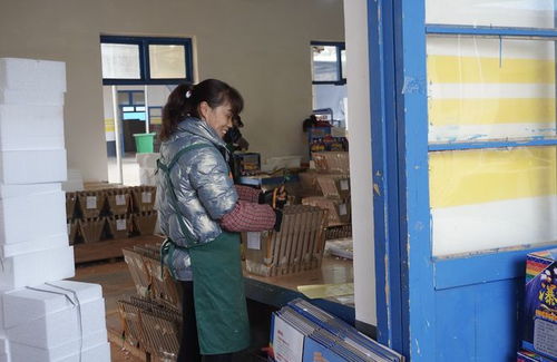 过个热闹年 浏阳烟花工厂爆单 胶水未干直接发走,经销商蹲守车间抢货