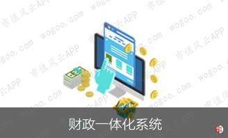 博思软件 国内非税收入信息化领域的优势企业