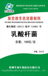 上海工厂直销乳酸杆菌代理价格与财务代理服务解析